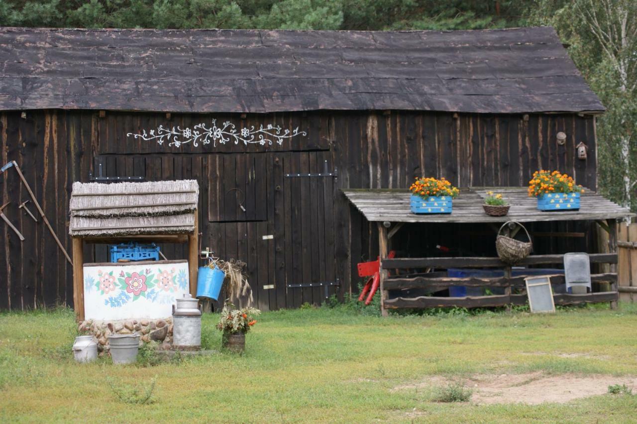 Zagroda Zalipie Gostynin Luaran gambar