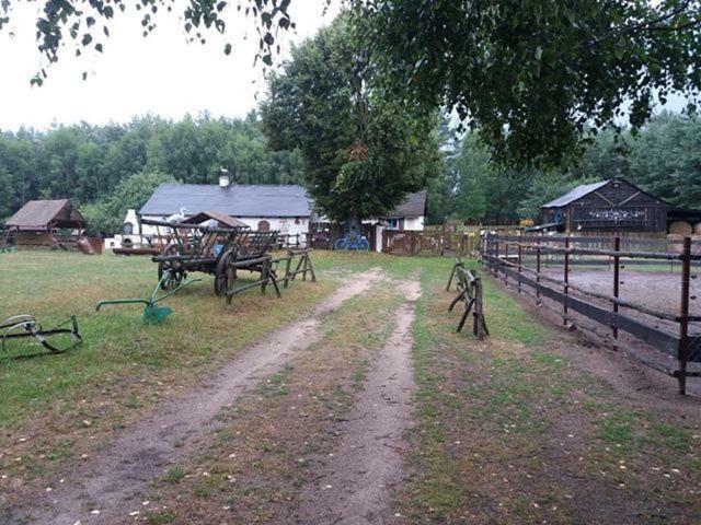 Zagroda Zalipie Gostynin Luaran gambar